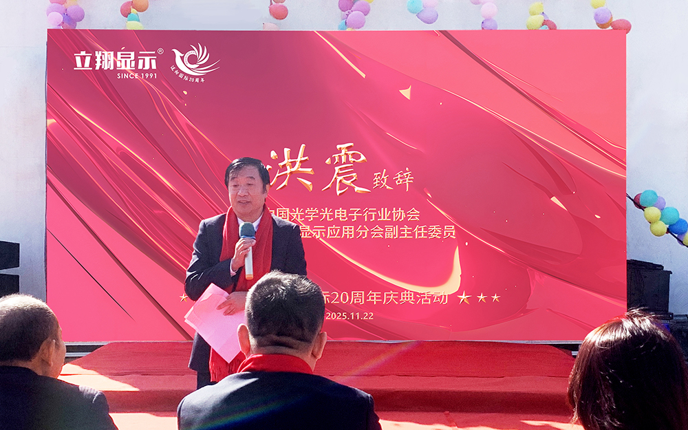 全国电子显示器件标准化技术委员会副主任委员洪震